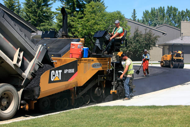 Best Driveway Paving Contractor  in Roseville, MI
